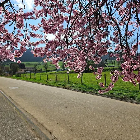 아파트 Le Refuge Alsacien